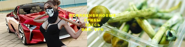 прущая мука Карпинск