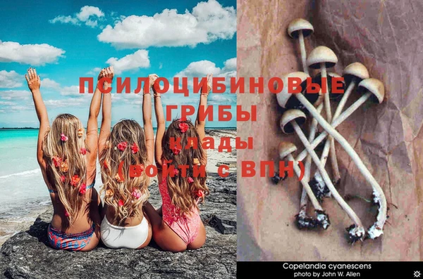 круглые Касимов