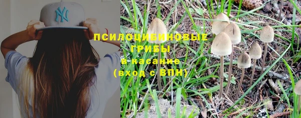 прущая мука Карпинск