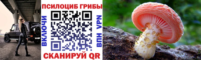 Купить закладки  Керчь  Псилоцибиновые грибы Psilocybine cubensis 